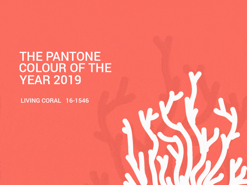 Pantone 2019 the colour of the year min