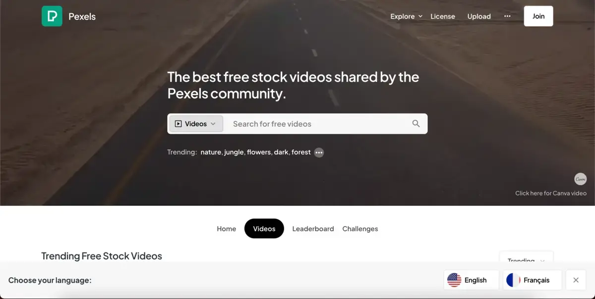 Pexel videos