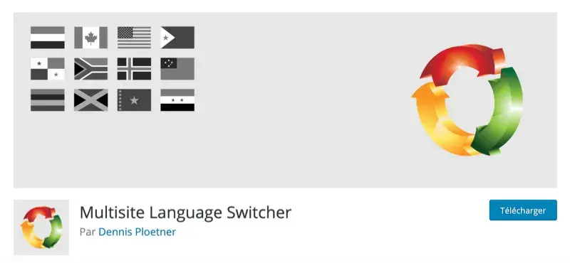 Plugin wordpress multilingue Multisite Language Switcher
