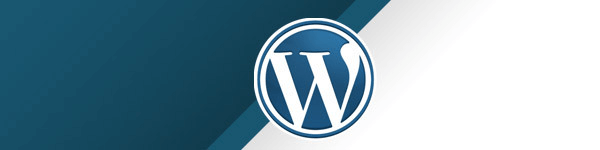 100 ressources à connaitre pour bien débuter sous WordPress