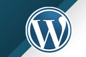 100 ressources à connaitre pour bien débuter sous WordPress