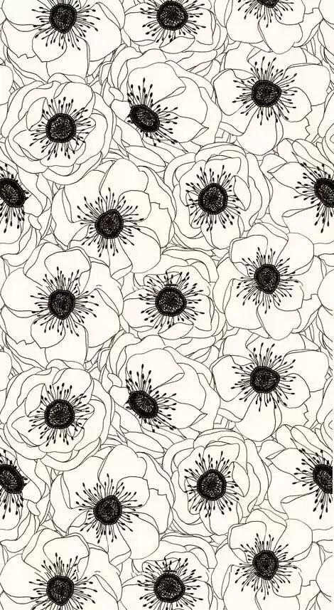 Textures patterns White Anemones