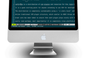 Transformer Vim en IDE moderne