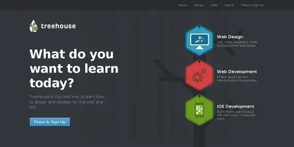 Webdesign responsive Team tree house